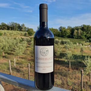 Torrebuico Aglianico IGP Paestum 2021