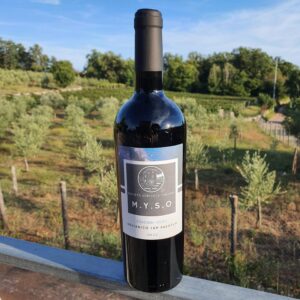 M.Y.S.O Aglianico IGP Paestum 2022